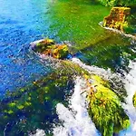 Hotri House On The River Island Ripac