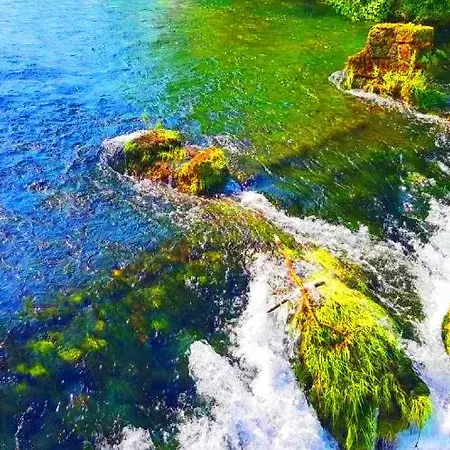 Hotri House On The River Island Ripac